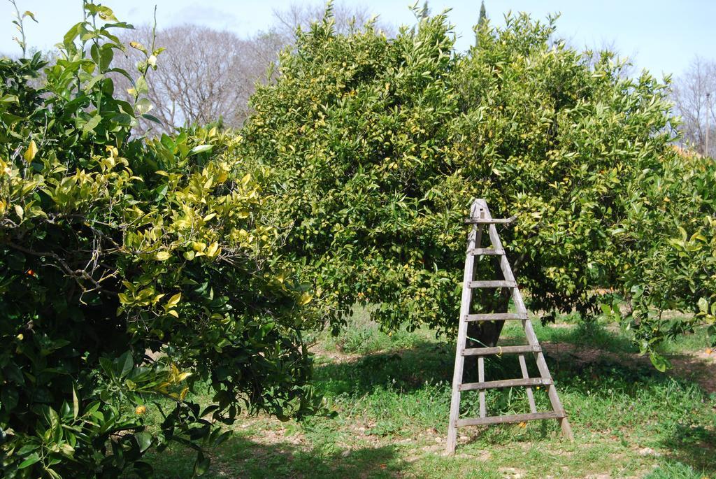 Finca Son Vivot Exterior foto
