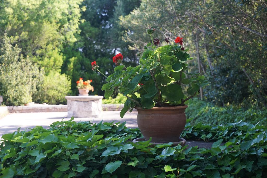 Finca Son Vivot Exterior foto